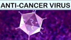 Anti Cancer Medical Animation ColoAd1